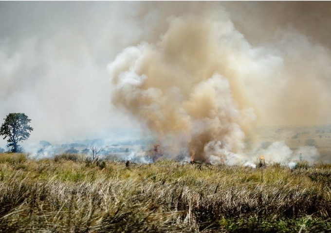 Panorama della Savana africana con un incendio visibile in lontananza