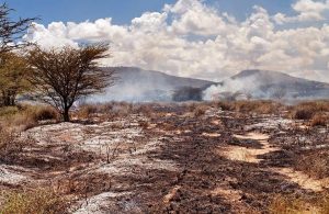 Panorama della Savana Africana durante un incendio