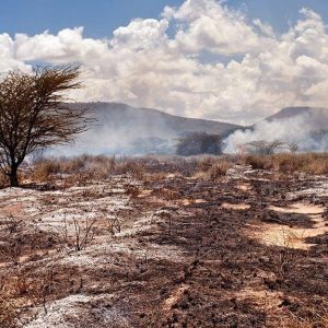 Panorama della Savana Africana durante un incendio
