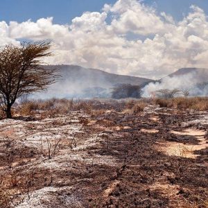 Panorama della Savana Africana durante un incendio