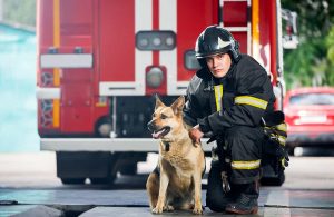 Un pompiere e un cane del nucleo cinofilo