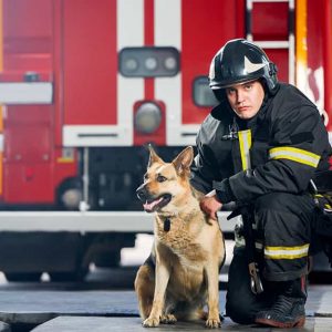 Un pompiere e un cane del nucleo cinofilo