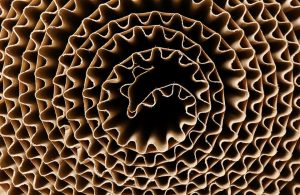 Spirale composta da cartoncino ondulato arrotolato