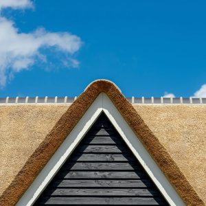 Dettaglio di un tetto ricoperto di canne palustri