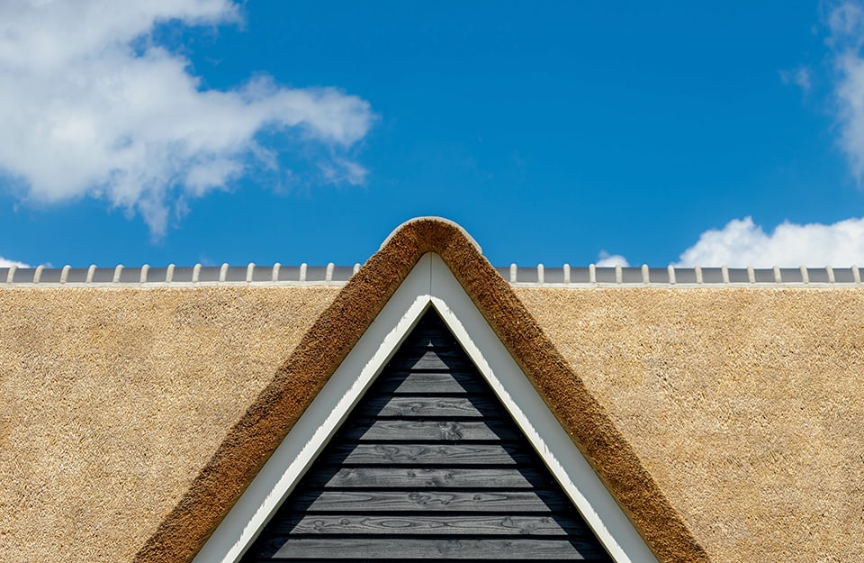 Dettaglio di un tetto ricoperto di canne palustri