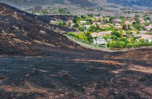 Resti di un incendio ai piedi di una collina, che ha quasi raggiunto un sobborgo abitato