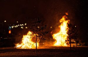 Un parco pubblico con alberi in fiamme e luci di un'area abitata che si intravedono nei pressi