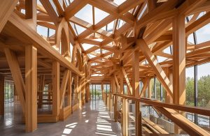 Interno di una luminosa struttura in legno, acciaio e vetro