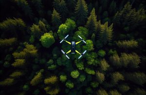 Vista dall'alto di un drone che sta volando sopra un bosco