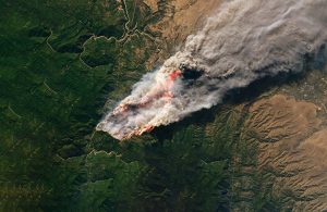 Vista da satellite di un incendio boschivo con la massa di fumo che si dirige verso Nord-Est spinta dal vento