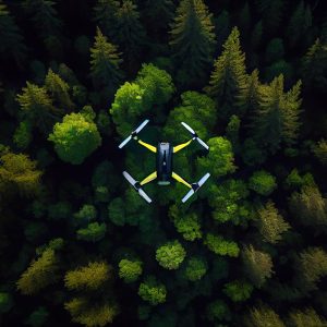 Vista dall'alto di un drone che sta volando sopra un bosco