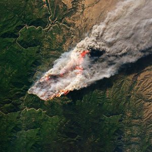 Vista da satellite di un incendio boschivo con la massa di fumo che si dirige verso Nord-Est spinta dal vento