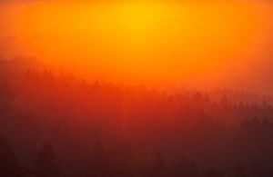 Il cielo rosso a causa di fumo e fiamme nelle zone del Camp Fire
