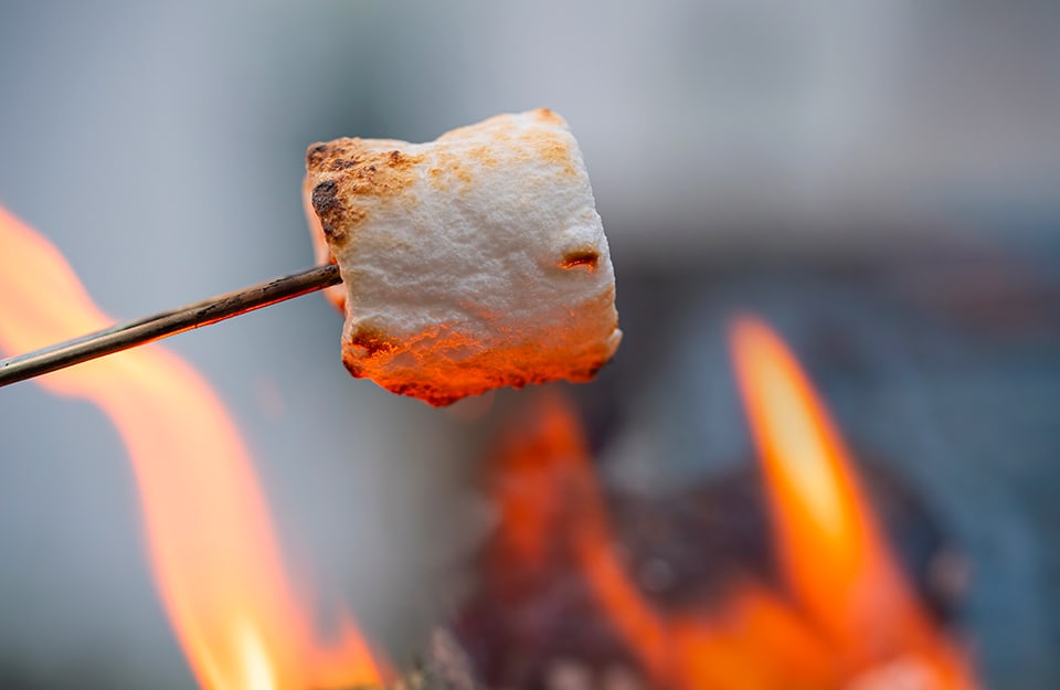 Primo piano su un marshmallow su uno spiedo che si sta scaldando e abbrustolendo tra le fiamme di un falò