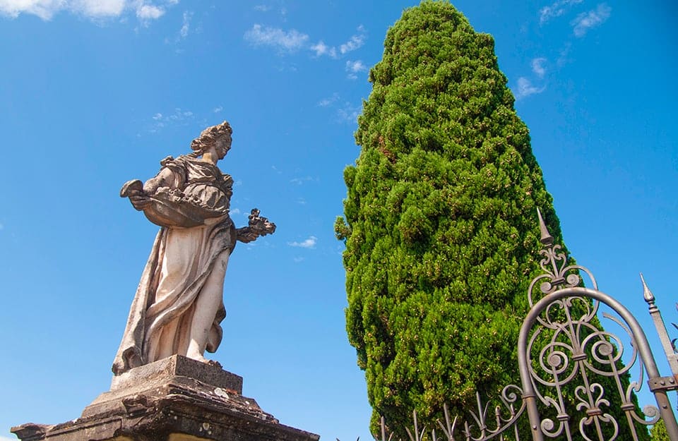 Una delle statue del parco monumentale di Villa Bellavista, a Borgo a Buggiano, insieme a un albero, forse un cipresso