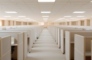 Una stanza con file di cubicles in un edificio per uffici. I cubicles sono disposti in modo regolare, formando una griglia. I cubicles sono realizzati in legno e hanno una forma quadrata. I cubicles sono vuoti, senza mobili o oggetti