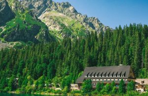 Un grande rifugio alpino in mezzo ai boschi, in montagna