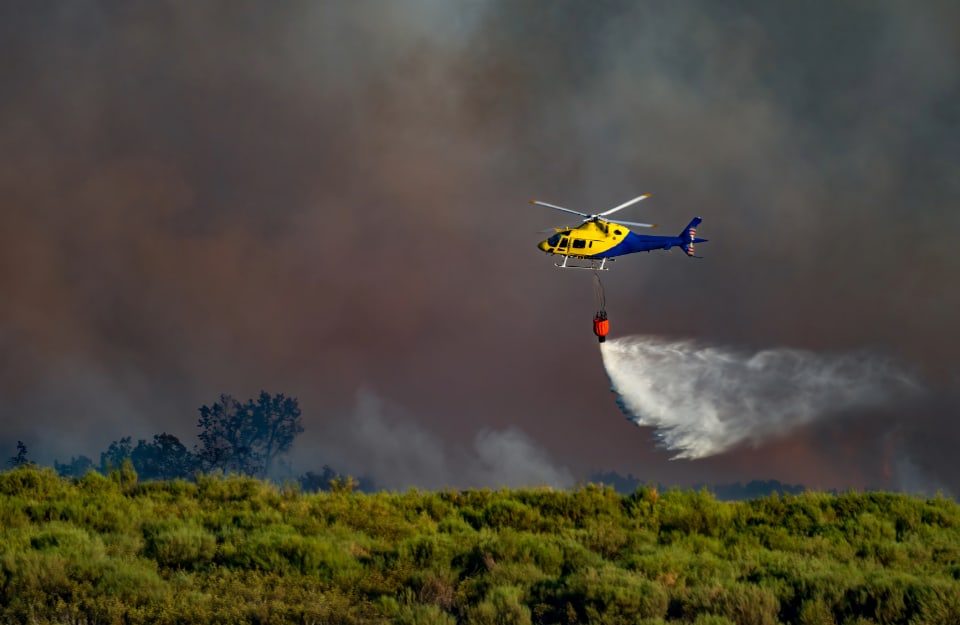 Un elicottero giallo e blu sta gettando acqua su un bosco durante un incendio