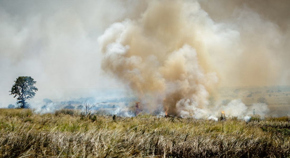 Gli incendi del 2019 in Angola e Congo