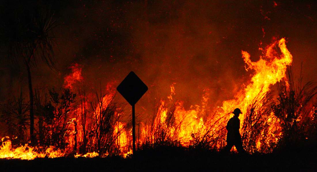 Come aiutare le persone e gli animali colpiti dagli incendi in Australia